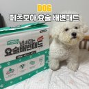 요술강아지 | 강아지 배변패드 추천 페츠모아 요술배변패드 사용 후기