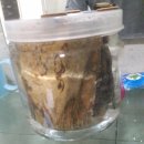 초강농장3 이미지