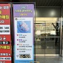 원네일보석