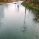 제주 올레길 15코스 B 이미지