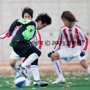 정림초등학교 이미지