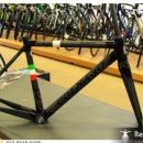 알포비