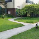 메디컬오스위트