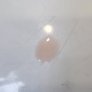 화원연합동물병원 이미지