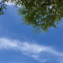영남철물 | [시공 후기]경남 함양빌라, 삼성 SHP-DP751