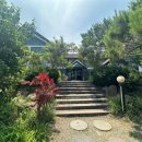 정일품삼계탕 이미지