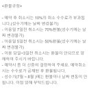 통나무파크 이미지