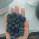 김봉태농장 이미지