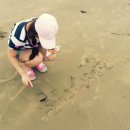 곰섬올레 이미지