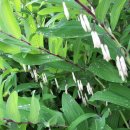 윤성농장 이미지