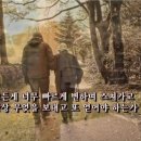 모  전 이미지