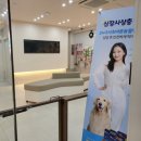바른동물병원 | 서초 바른동물병원에서 경험한 반려견 섬세한 맞춤 종합검진 추천 후기