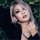 에스티씨엘 이미지