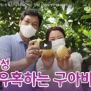 빈스구아바농장 네이버블로그