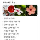 카페 새시로 네이버블로그