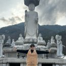 가고파꽃하우스 | 단양 미륵대흥사 템플스테이
