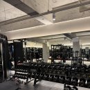 청춘헬스 이미지