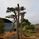 처음농장 이미지