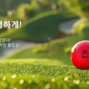 바이킹 스크린 파크골프 이미지