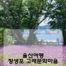 달고래정원 네이버블로그