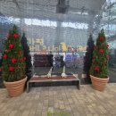 정원 | 경기 가평 - 베고니아새정원 방문 후기