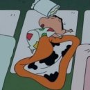 즐겨찾기 이미지