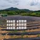 땅파남부동산중개사무소 네이버블로그