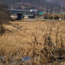 본마을 버스정류장 삼거리 이미지