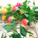 금산청소년문화의집 이미지