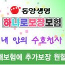 뉴베스트라이프