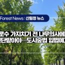 영천나무병원 이미지