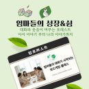 감성 맘 보드게임 이미지