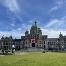 (주)블루칩스 이미지