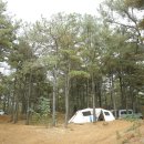 파인힐 캠프 이미지