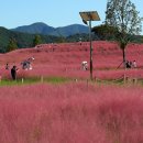 신소양체육공원1 이미지