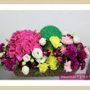 조선대학교 대학원 이미지