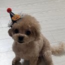 동대문상가A동 | 동대문 비즈,부자재 상가 방문후기