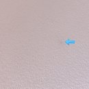 화이트클린 이미지