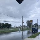 허백농장 | [공지] 그 시절 내가 좋아했던, 비 오는 날 보기 좋은 4편의 공포 영화 추천👻 (근데 위에 계신 분은...