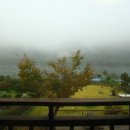 남이섬리버필드 이미지