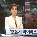 美 바이러스 이미지