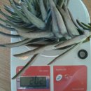 솔골농장 이미지