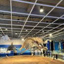 동구장애인보호작업장 화장실 | 울산 가볼 만한 곳. 장생포 고래 박물관 이용 정보. 입장료 할인 및 주차 정보. 국내 유일 고래 전문...