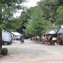 숲속의 쉼터 이미지