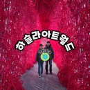 여항-1 | 강릉 하슬라아트월드 내돈내산 솔직 후기 최저가 할인팁