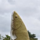 10월12일(일)계양 아라온 가을꽃 국화축제 이미지