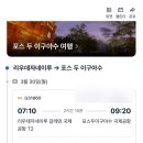 (주)삼성고속관광 | 🇧🇷신혼여행 준비🤍 브라질편(항공권, 숙소, 이과수폭포, 예방접종, 이심)