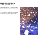 에버그린농장 | 초보 식집사라면 다목적 배양토로 시작해요