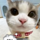 강서리 | 나태지옥