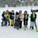 용인대최우수태권도장 이미지